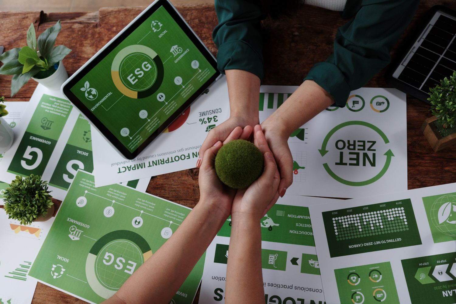 net zero emissions